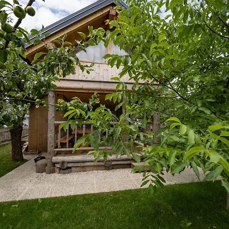 Sejalec Lesce (Upper Carniola)