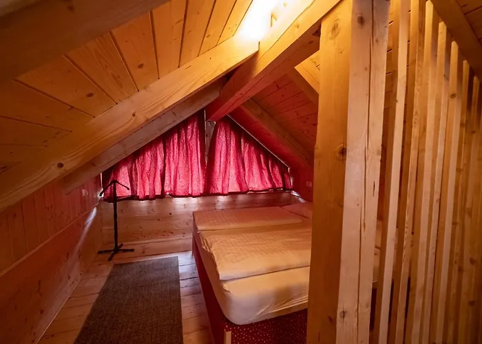 Sejalec * Лешче